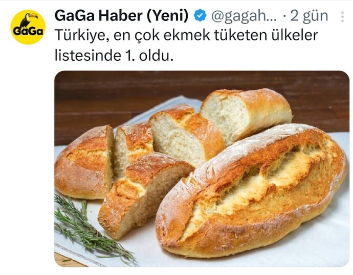 Günde kaç tane ekmek yiyorsunuz?