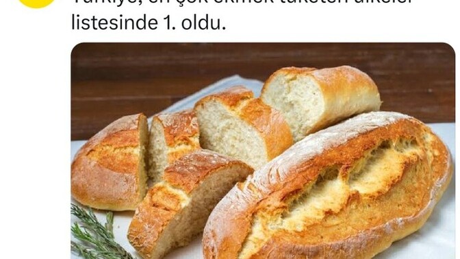 Günde kaç tane ekmek yiyorsunuz?