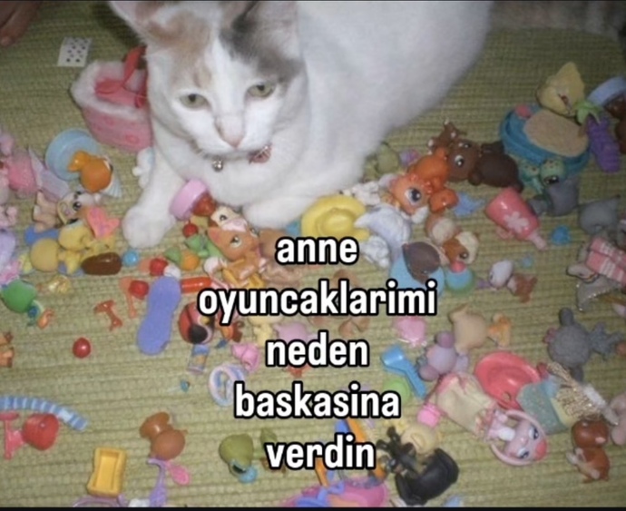 Çocukluk oyuncaklarınızı saklıyor musunuz?