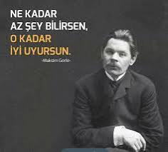 Sizce gerçek mutluluk cehalette mi saklı yoksa farkındalık ve bilinçlilikle mi gelir?