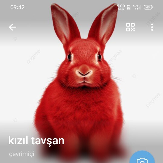 Telegram nickim nasıl? öyle bir anda aklıma geldi ve öyle yaptım?
