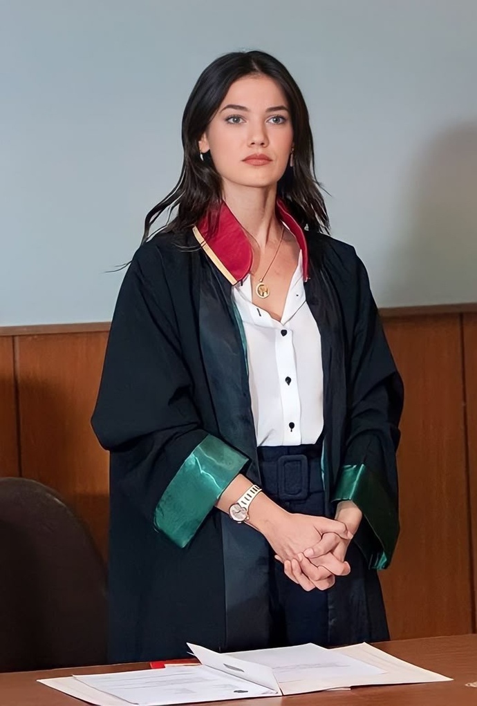 Avukatlar her dosyayı okuyabilir mi?
