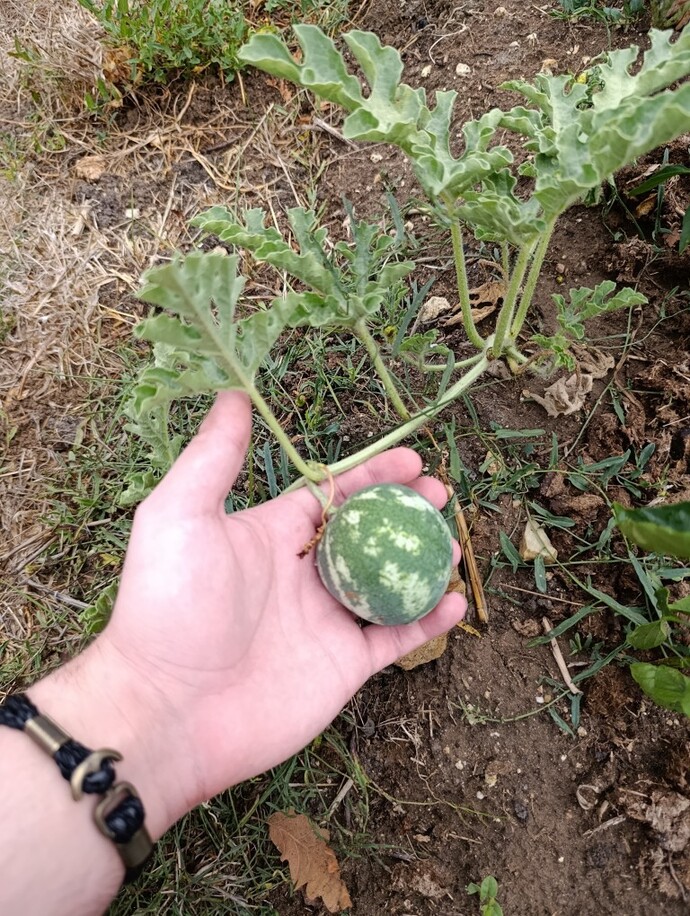 En sevdiğiniz tatil yerleri nereler?