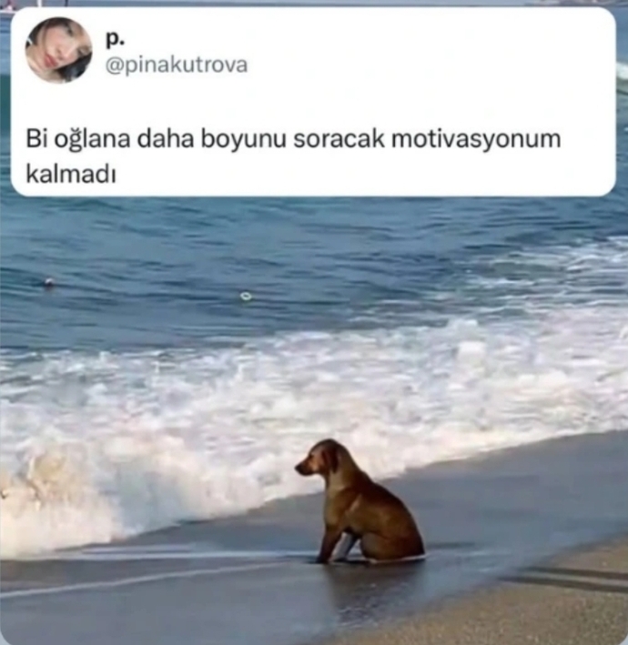 Arkadaşım paylaşmış bayıldım bu görsele gülsem mi ağlasam mı bilemedim çok tatlı ya😄
