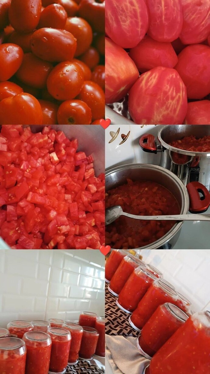 Domatesleri kavanozla mi yoksa poşetle mi kış için hazırlıyorsunuz?