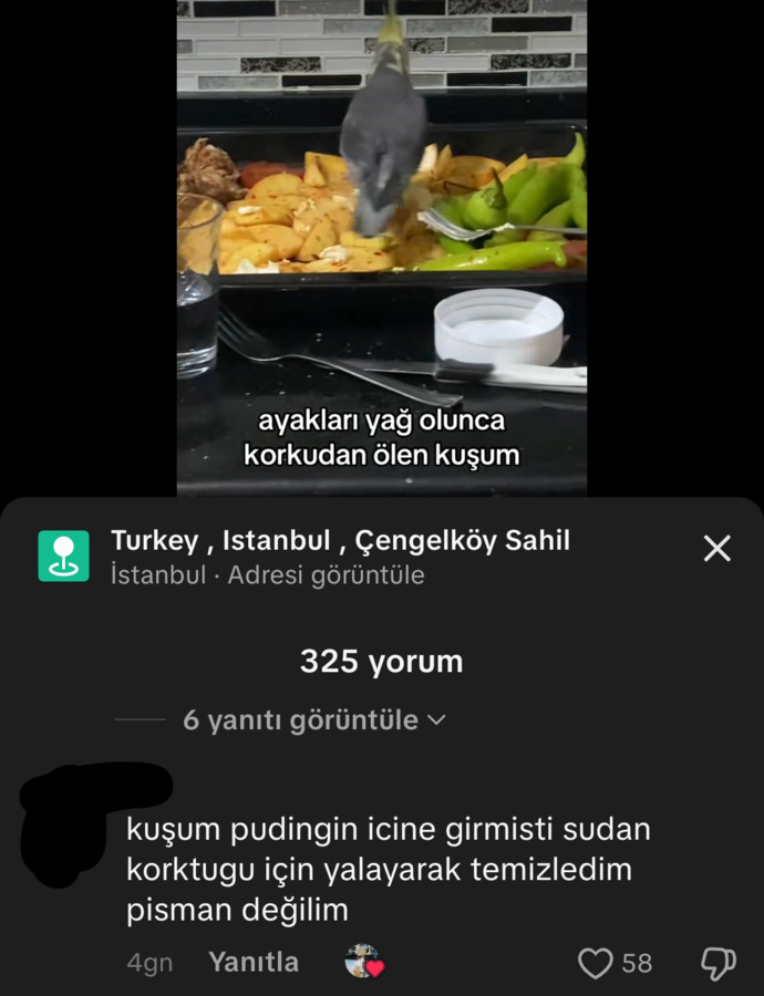 Sizce hayvanları aşırı derecede seven insanlar hasta mı?