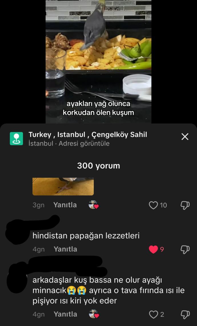 Sizce hayvanları aşırı derecede seven insanlar hasta mı?