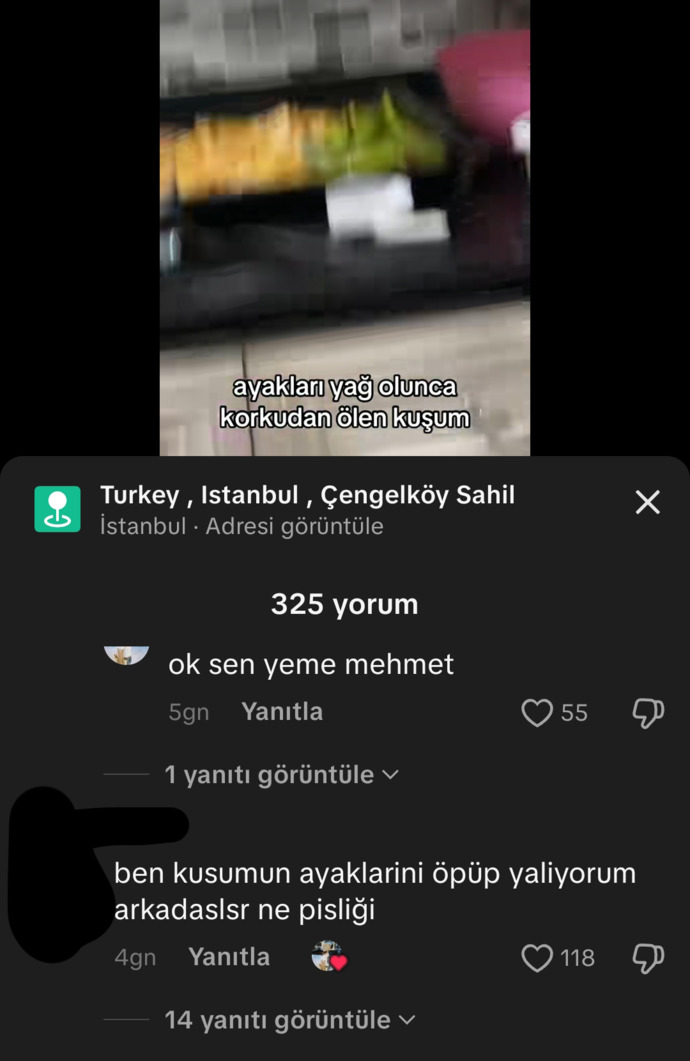Sizce hayvanları aşırı derecede seven insanlar hasta mı?