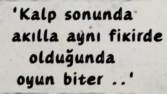Bir sorunun çözümünde mantığınız mı yoksa duygularınız mı daha çok rol oynar?