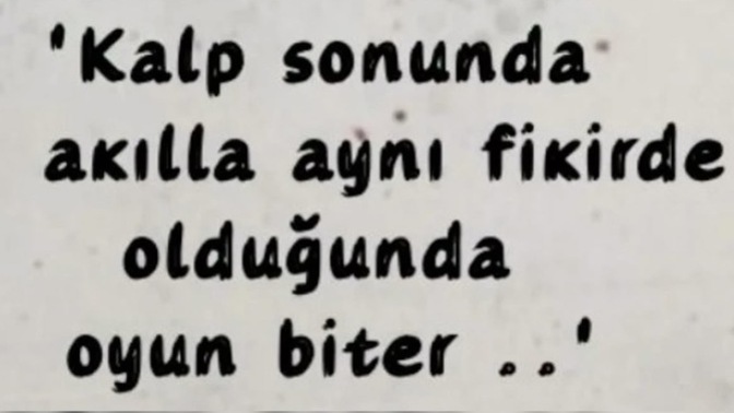 Bir sorunun çözümünde mantığınız mı yoksa duygularınız mı daha çok rol oynar?