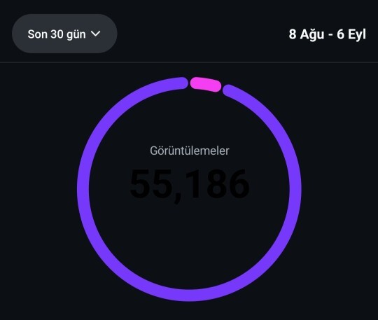 İnstagram profil görüntülenme sayısı?