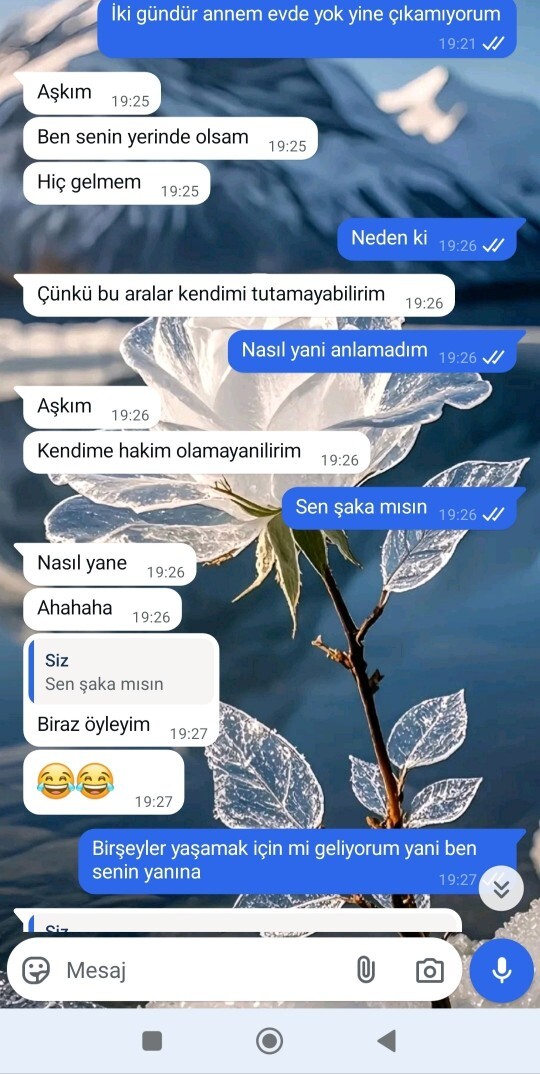 O kadar salağım o kadar aptalım o kadar canım biriyim ki herkese herşeye inanabiliyorum o kadar ki körüm ?