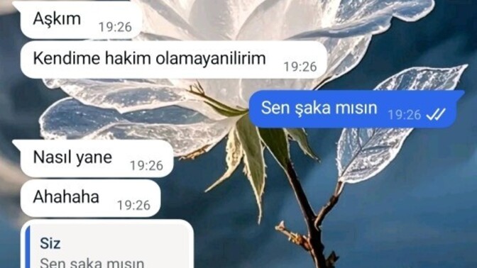 O kadar salağım o kadar aptalım o kadar canım biriyim ki herkese herşeye inanabiliyorum o kadar ki körüm ?