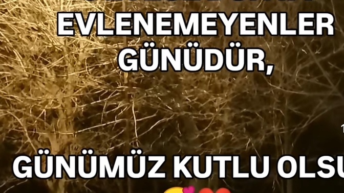 Dün evlenemeyenler günüymüş. Kimler hâla bekar?