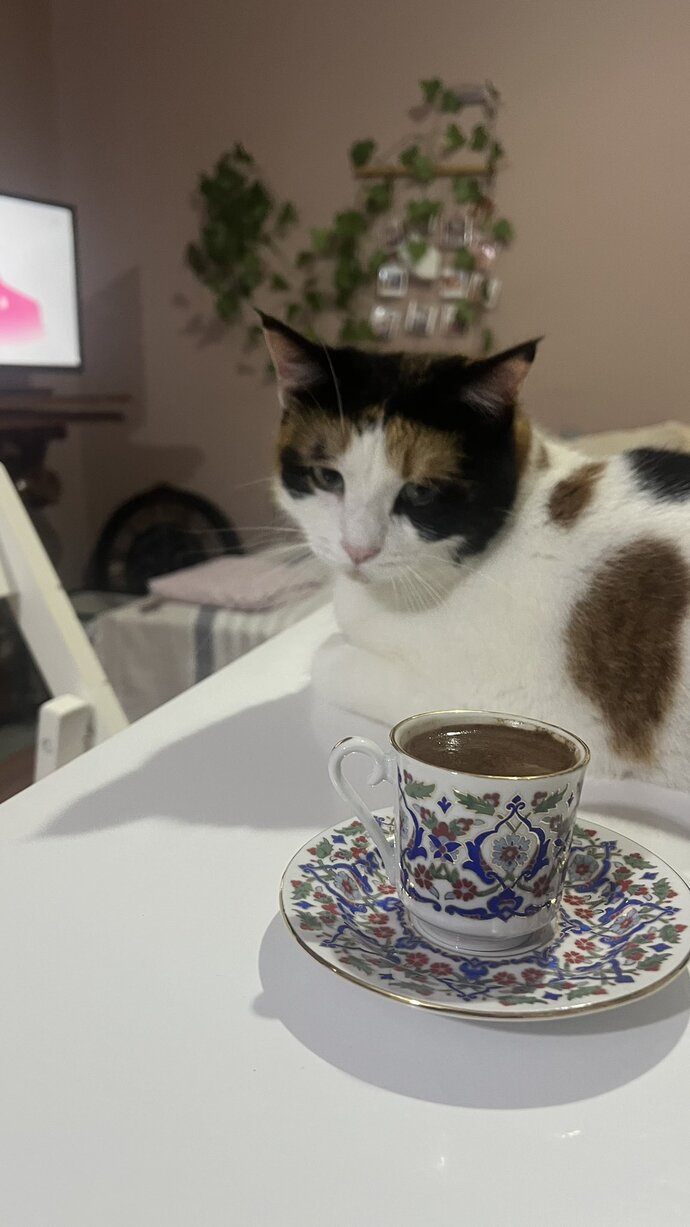 Bugün kahve içme fırsatı buldunuz mu?