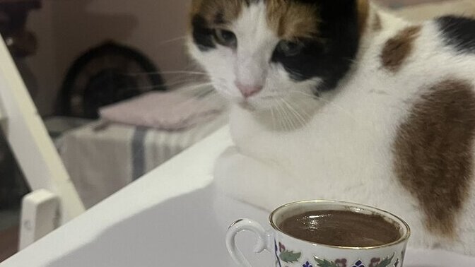Bugün kahve içme fırsatı buldunuz mu?