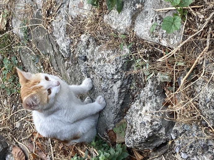 Yavruma isim arıyorum isim önerirmisiniz?