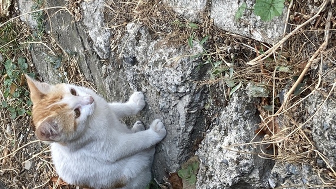 Yavruma isim arıyorum isim önerirmisiniz?