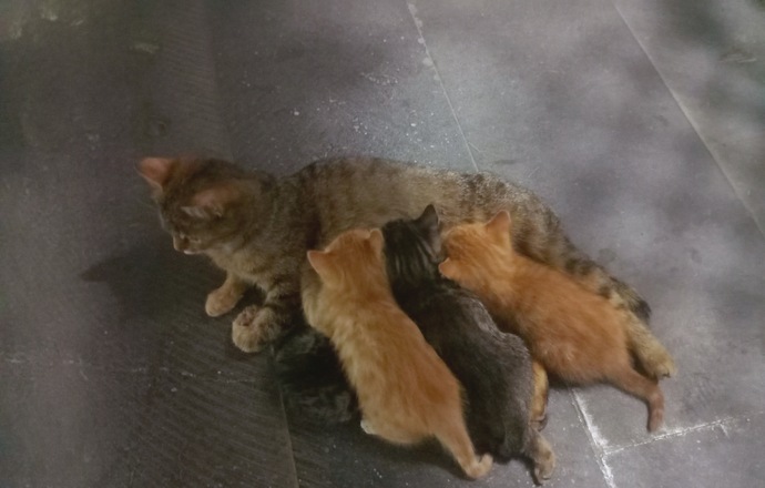 Bir insanın “iyi kalpli” olduğunu anlamak için nelere bakarsınız?