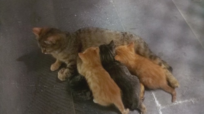 Bir insanın “iyi kalpli” olduğunu anlamak için nelere bakarsınız?