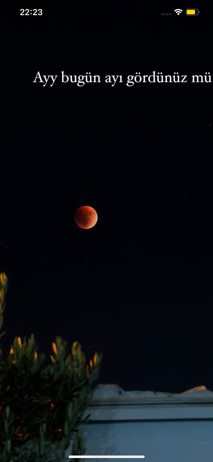 🌗 🌙💋