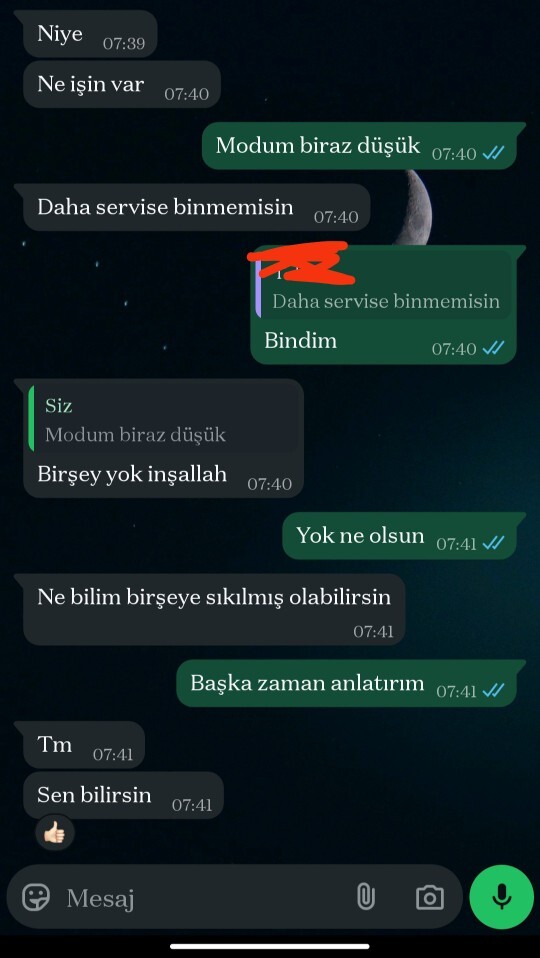 Moralim bu sabah çok bozuktu ve aramızda geçen konuşma. Ben olsam en azından ikinci defa sorardım. Böyle bir sevgiliden olur mu?