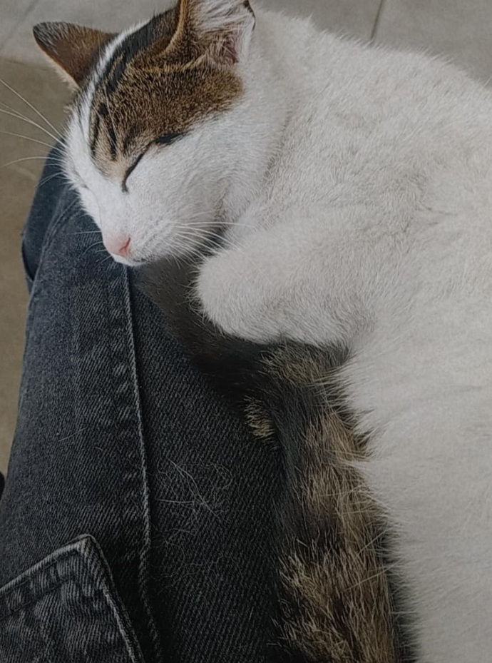 Uyanamayangillerden 😻