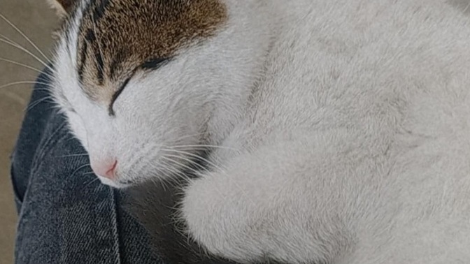 Günaydın, pazartesi sendromunuz başladı mıı?
