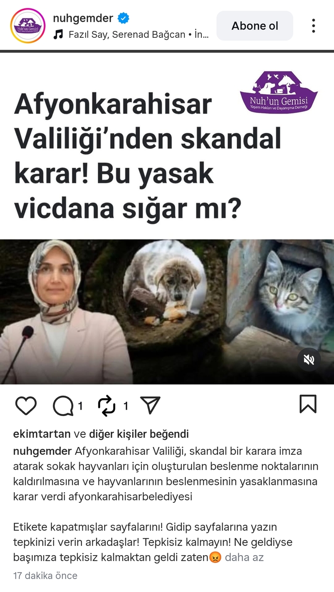 Cezaevleri niye barınaklardan daha iyi durumda?