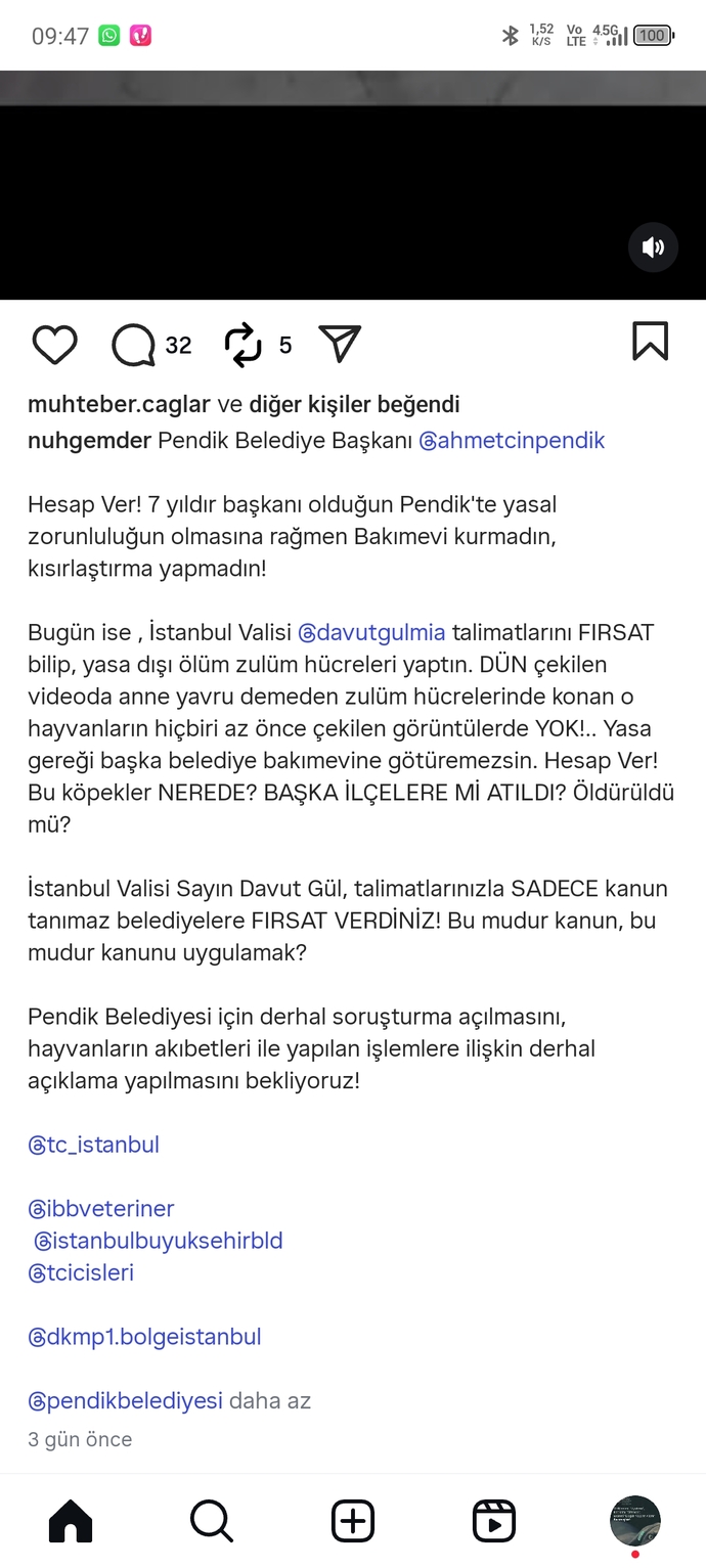 Cezaevleri niye barınaklardan daha iyi durumda?