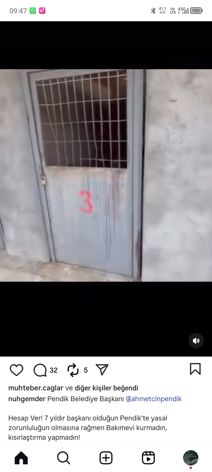 Cezaevleri niye barınaklardan daha iyi durumda?