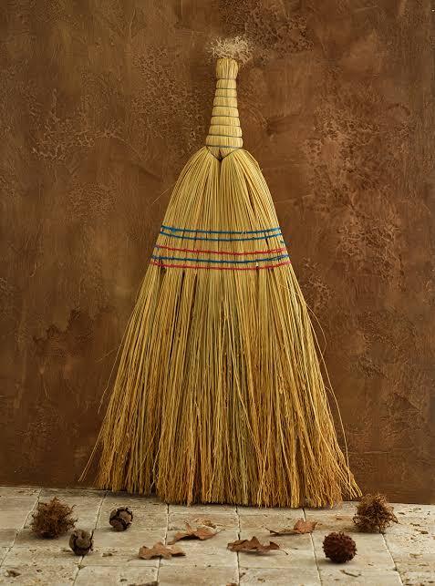 Evinizi ne ile süpürürsünüz?