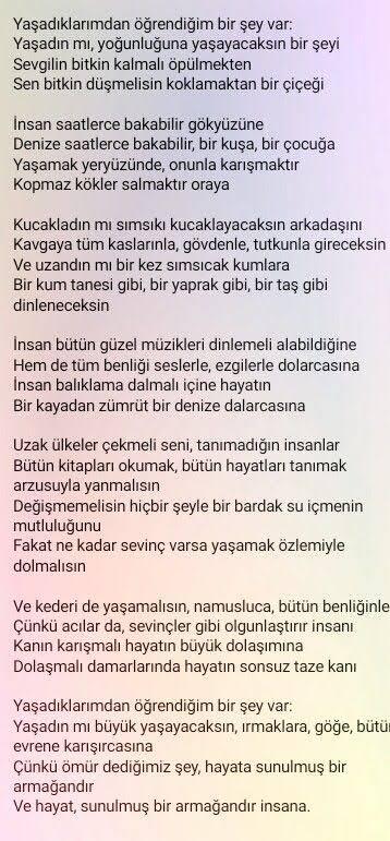 Neydi o muhteşem şiir?