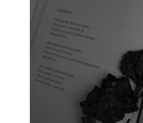 Lavinia 🌷