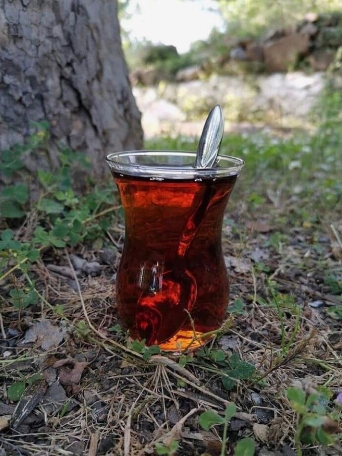 Şu an içinize ne girsin isterdiniz?