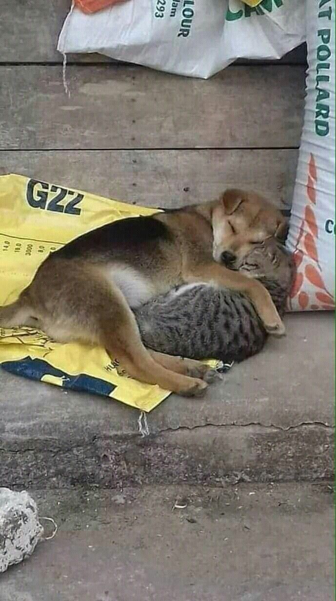 İş yerinde sağlam aşk doğar mı?