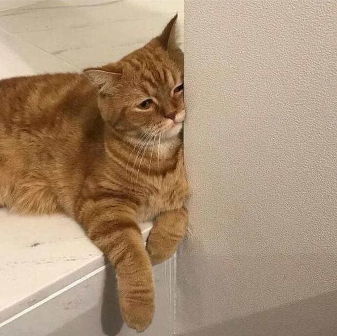 İlk mesajı ekleyen kişi mi atar?