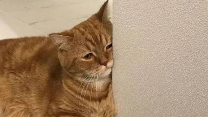 İlk mesajı ekleyen kişi mi atar?