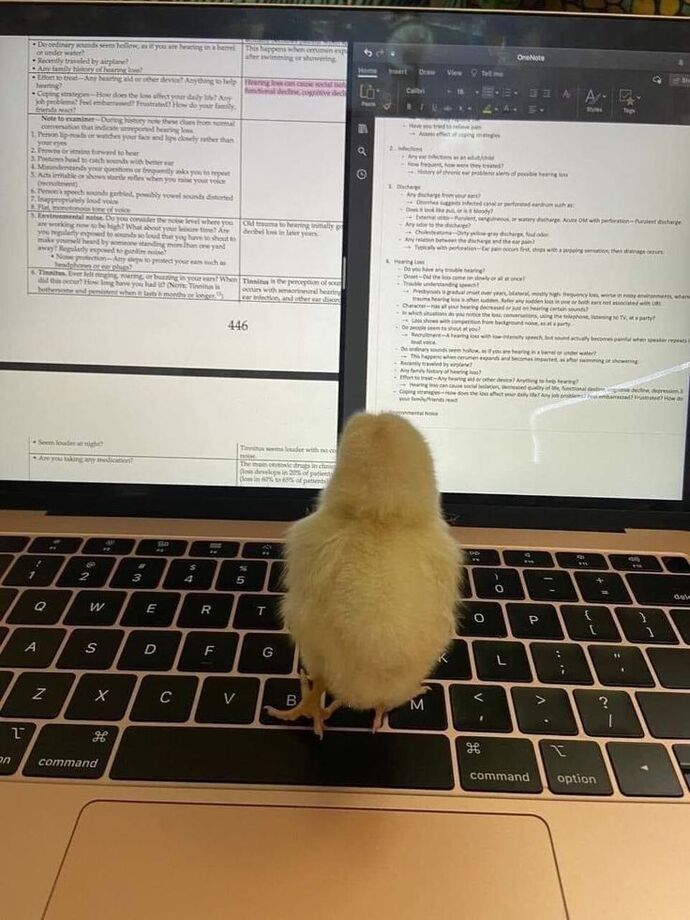 Hiç uzaktaki birisi için yol gittiniz mi?