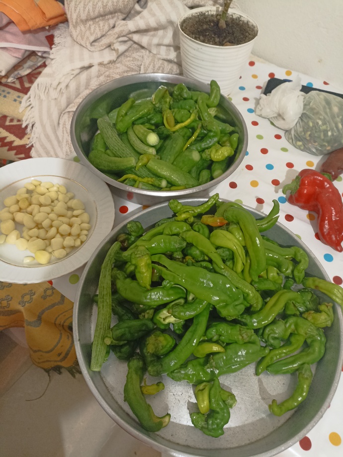 Kışa turşularinizi yaptiniz mi?