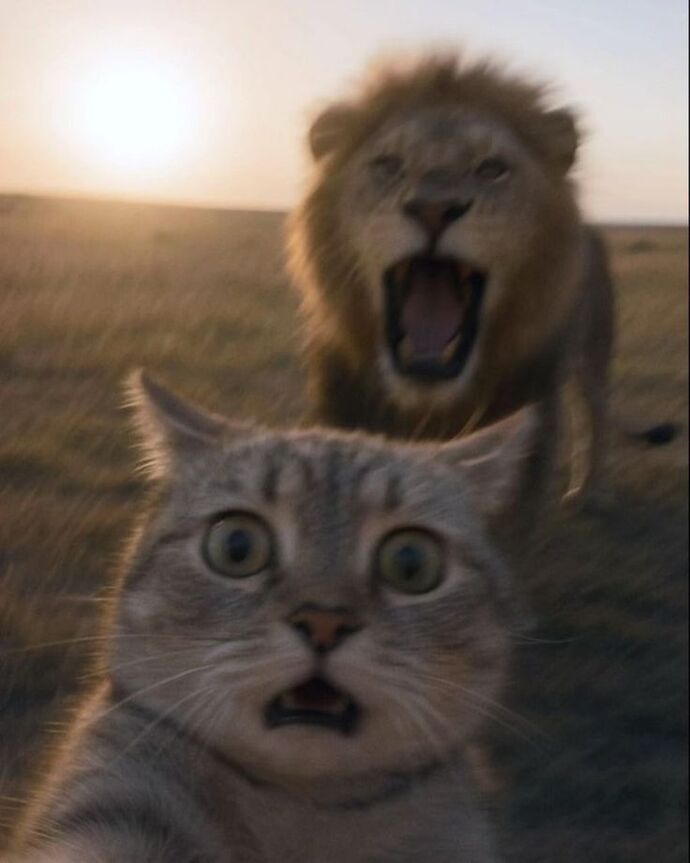 Anlık gelen cesaretle bir işe kalkışınca gelen o korkuuu abbooow jfjffdj
