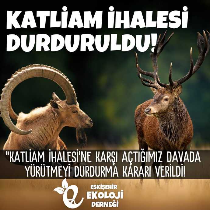 Avcılık sizce bir spor mu?