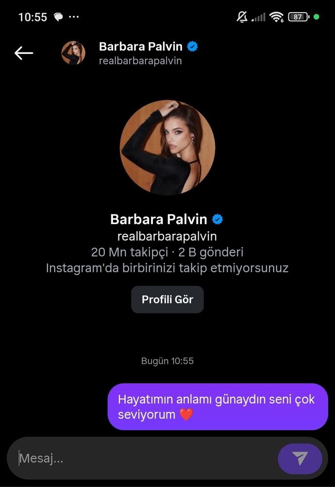 Sevginizi dile getirmekte zorlanıyor musunuz?