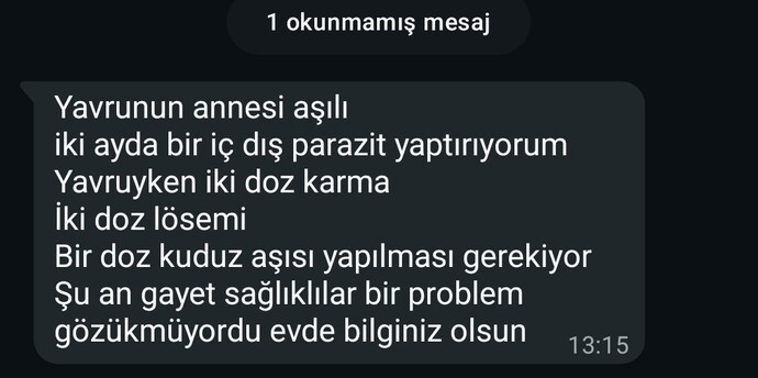Kedi sahipleniyordum son anda böyle mesaj attı napayım sizce?
