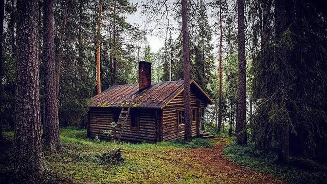 Ormanda 🌳🦌 gezinirken bir kulübe 🛖 buldun girer misin?