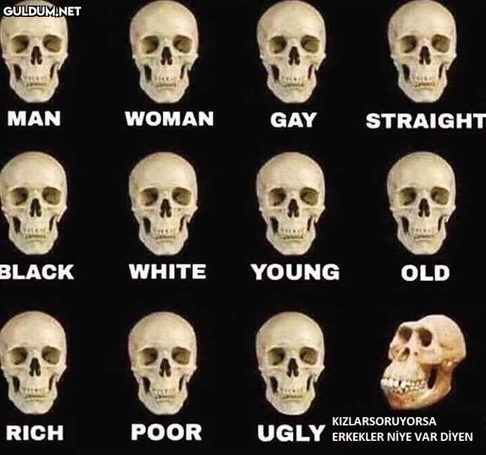 Kızlar soruyorda niye erkekler var?