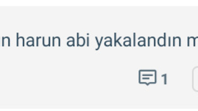 Arkadaşlar harun abi kim dhsd?