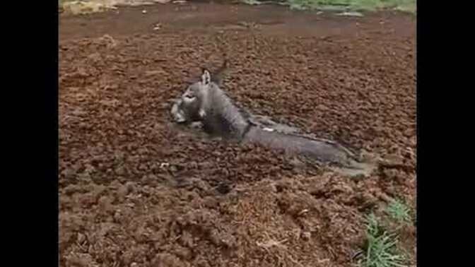 Ya sabır çektiğiniz şeyler var mı şu son günlerde?