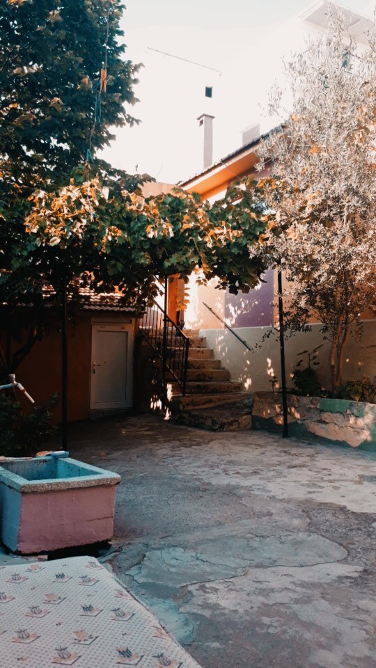 Bahçeli müstakil yer evi mi yoksa apartman mı?