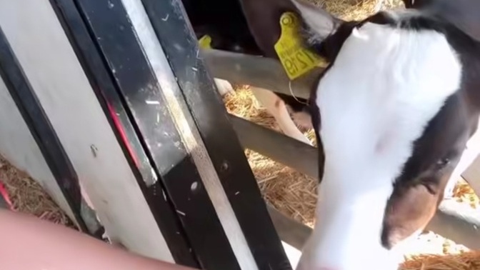 Ellerinizi neyle nemlendiriyorsunuz?
